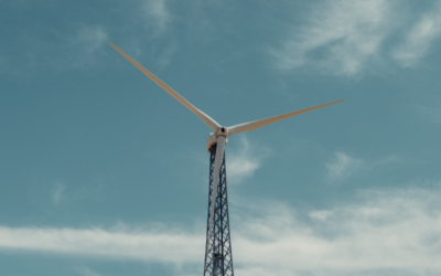 Een groene voetafdruk, wat is de eerste stap die je neemt?