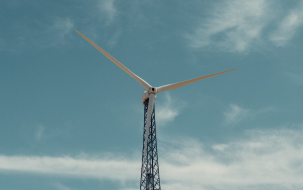 Groene voetafdruk Groene voetafdruk