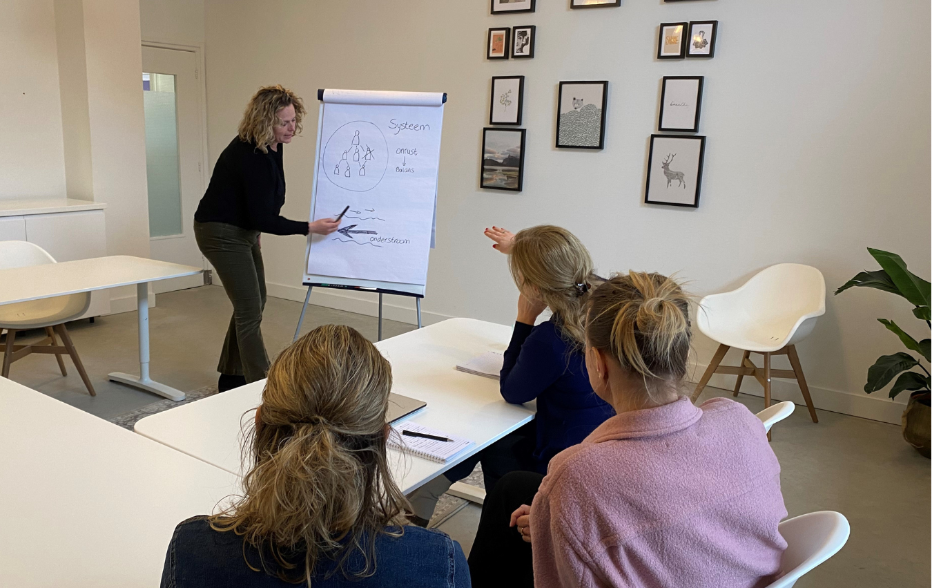 artikel Kim systemisch coachen 